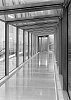 DSCF8548.jpg