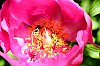 DSCF9212.jpg