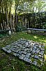 DSCF9387.jpg