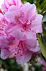 DSCF9401.jpg