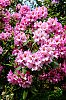 DSCF9403.jpg