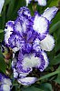 DSCF9435.jpg