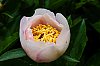DSCF9468.jpg