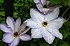 DSCF9483.jpg