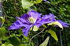 DSCF9487.jpg