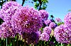 DSCF9771.jpg
