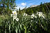 DSCF9997.jpg