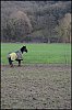DSC_0013.jpg
