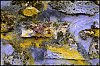 DSC_0059.jpg