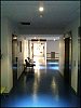 IMG_1497.jpg