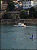 IMG_1817.jpg