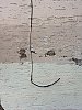IMG_3313.jpg