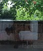 IMG_3385.jpg