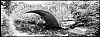 Pont_Aiguebrun-2~1.jpg