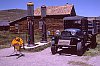 USA_96_21.jpg