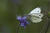 20092013-_JMJ1378.jpg