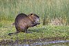 20250217_152421_baieDesVeys_fevrier2025_JZ9_5609860.jpg