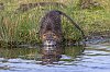 20250217_152453_baieDesVeys_fevrier2025_JZ9_5639-Avec_accentuation-Bruit_860.jpg