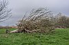 20250324_155058_Graignes_23mars2025_B0001313_860.jpg