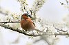 20250403_123408_LeCap_3avril2025__JZ8_3510_860.jpg