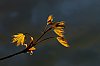 20250420_203022__JA70048_860.jpg