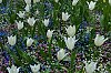 20250425_143348_Bayeux_avril2025__JA70092_860.jpg