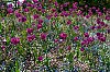 20250425_143519_Bayeux_avril2025__JA70094_860.jpg