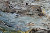 20250608_0001621_1080.jpg
