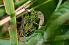 20250806_170901_JZ8_5379_860.jpg