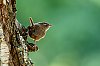 20250823_102940_JZ8_5427_860.jpg