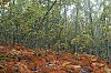 20251024_114652__Octobre2025_0000380_860.jpg
