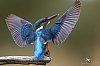 20251025_115617_JZ9_0836_860~2.jpg