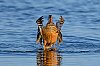 20260116_112128_JZ8_7684_860.jpg
