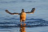 20260116_112146_JZ8_7696_860.jpg
