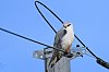 20260204_134213_JZ8_8327_860.jpg