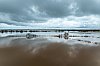 20260213_140856_DJI_0190_860.jpg