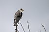 20260213_142005_JZ8_8693_860.jpg