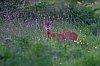 20260508_211407_JZ8_0731_1080~0.jpg