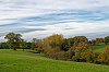 22octobre2022_CerisyLaForet_860px.jpg