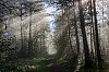 23102024101717_Morvan_Octobre2024_B0001097_1620-2.jpg