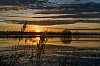 28112024-ChateaulaRiviere_0001159.jpg