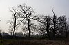 800pxac_JSN2408.jpg