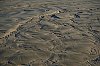 Asnelles_JSN0319_800px.jpg