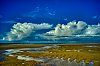 Asnelles_Mars2019__800px28c29Jean-MarcJANSEN_B0002370.jpg