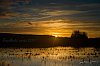 Asnelles_decembre2018__800px28c29Jean-MarcJANSEN_B0002155_v2019.jpg