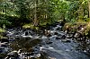 B0000326_860.jpg