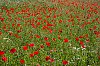 B0000552_2000px-3.jpg