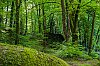 B0002861_signe800pxPirate.jpg