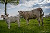 Balleroy28Avril201828c29Jean-MarcJANSEN_B0000810.jpg
