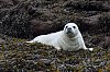 Blanchon_Cy_JZ8_1633_1620.jpg